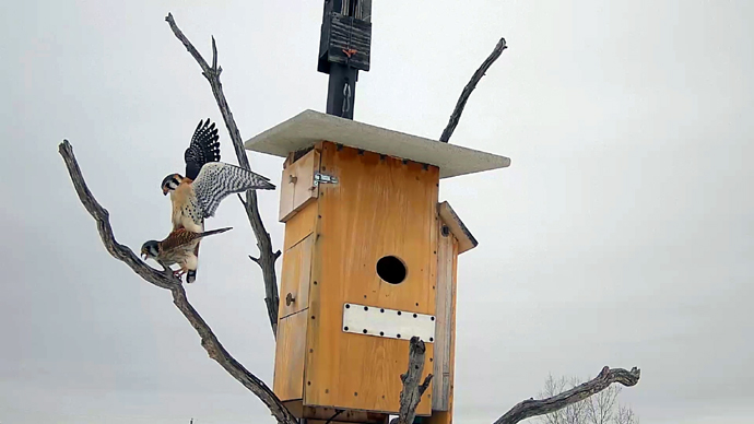 9 COP Sequence 01.Still037 9 COP Sequence 01.Still037