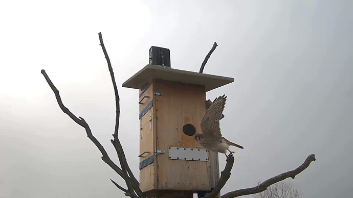 ADJ 2 Snapshot JPG ADJ 2 Snapshot JPG