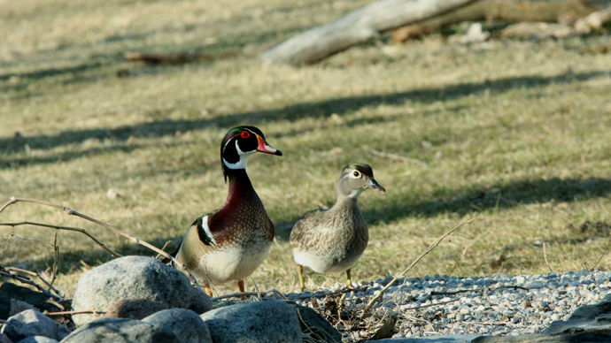 ADJ Snapshot WD 3 JPG ADJ Snapshot WD 3 JPG