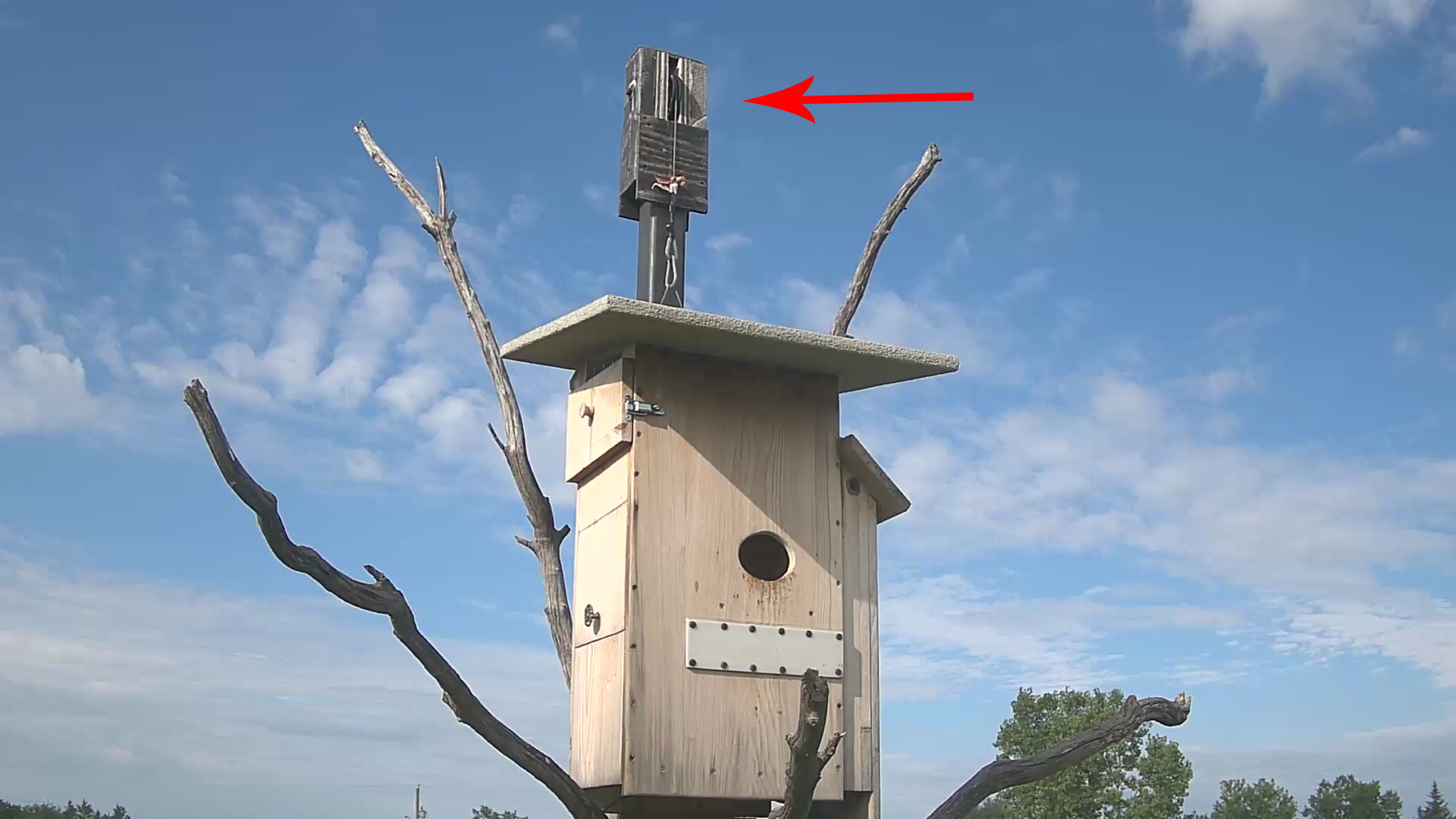 ARROW video2 JPG ARROW video2 JPG