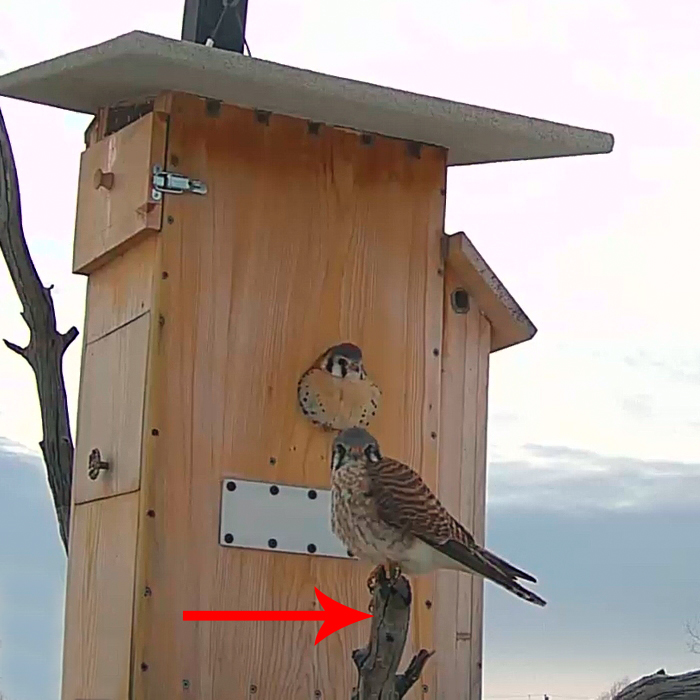 CR 700 x 700 video12 copy CR 700 x 700 video12 copy