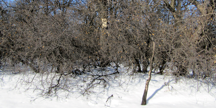 EM CR IMG_2295 EM CR IMG_2295