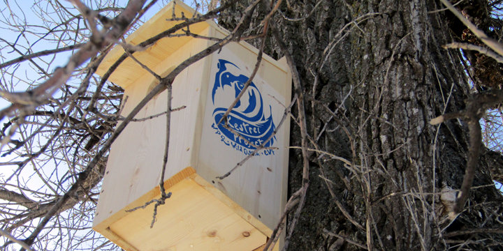 EM CR IMG_2301 EM CR IMG_2301