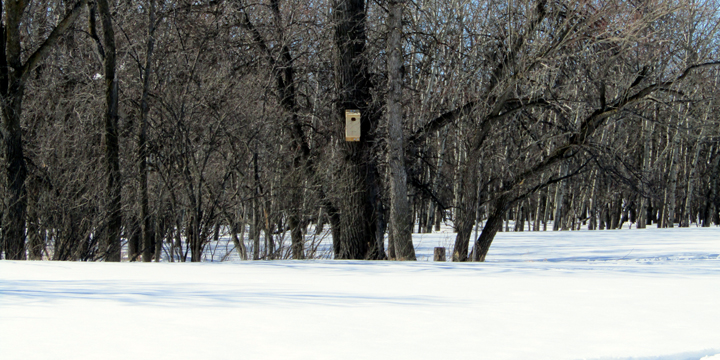 EM CR IMG_2302 EM CR IMG_2302