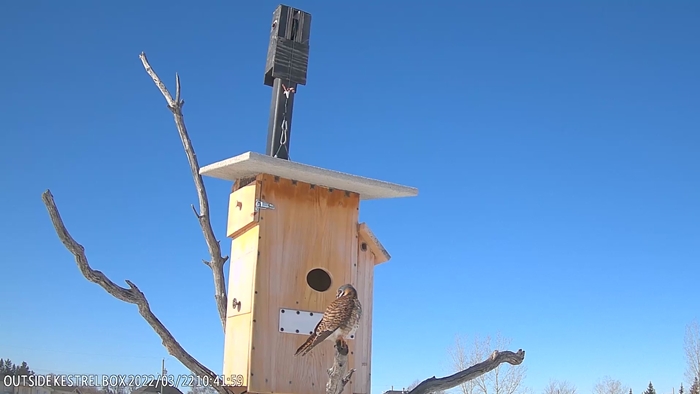 EM Sequence 01.Still004 EM Sequence 01.Still004