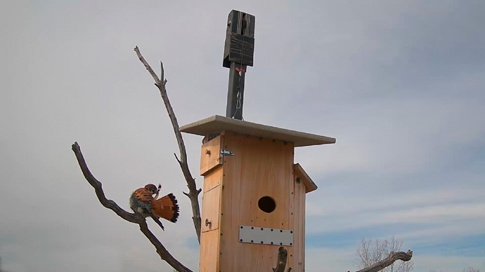 EM video 5 EM video 5