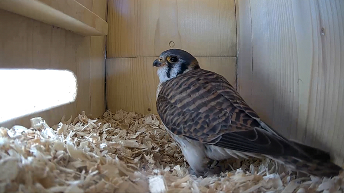 FK INSPECTION Sequence 01.Still043 FK INSPECTION Sequence 01.Still043