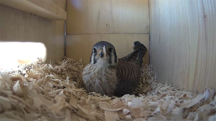 FK N B Sequence 01.Still101 FK N B Sequence 01.Still101