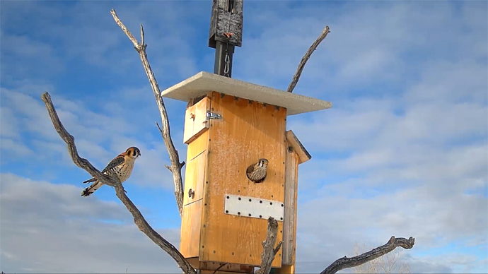 MK AND FK Sequence 01.Still023 MK AND FK Sequence 01.Still023