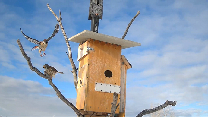 MK AND FK Sequence 01.Still024 MK AND FK Sequence 01.Still024