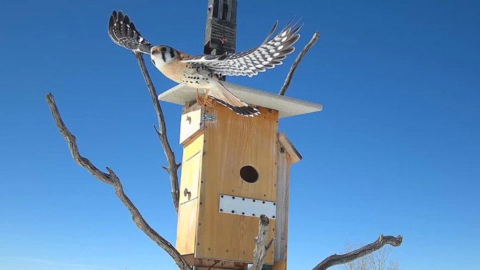 MK Sequence 01.Still045 MK Sequence 01.Still045