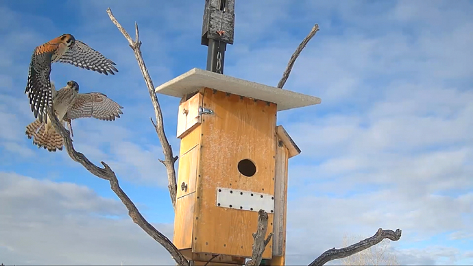 MK and FK Sequence 01.Still025 MK and FK Sequence 01.Still025