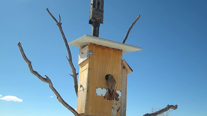 W.P. Sequence 01.Still002 W.P. Sequence 01.Still002