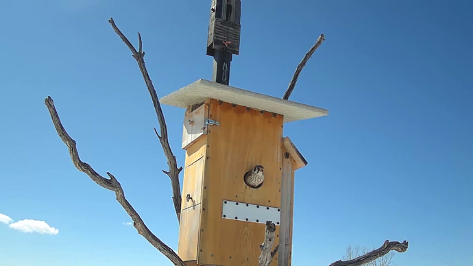 W.P. Sequence 01.Still003 W.P. Sequence 01.Still003