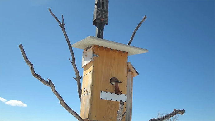 W. P.Sequence 01.Still004 W. P.Sequence 01.Still004