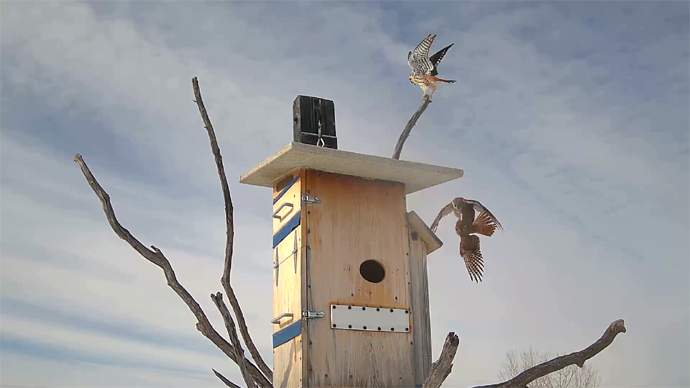 WEB ADJ 11 INRUD Snapshot JPG