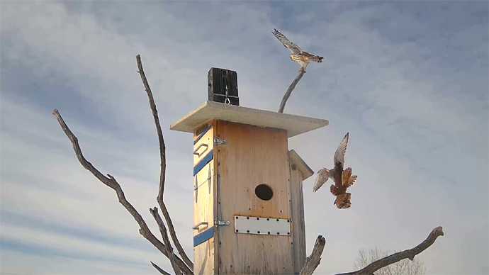 WEB ADJ 12 INRUD Snapshot JPG