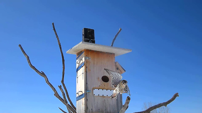 WEB ADJ 1 MK Snapshot