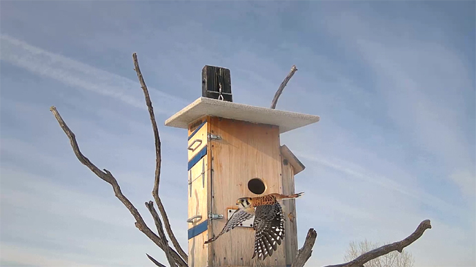 WEB ADJ 1 M K Snapshot JPG