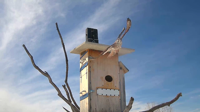 WEB ADJ 1 OUTS  FK  Snapshot JPG