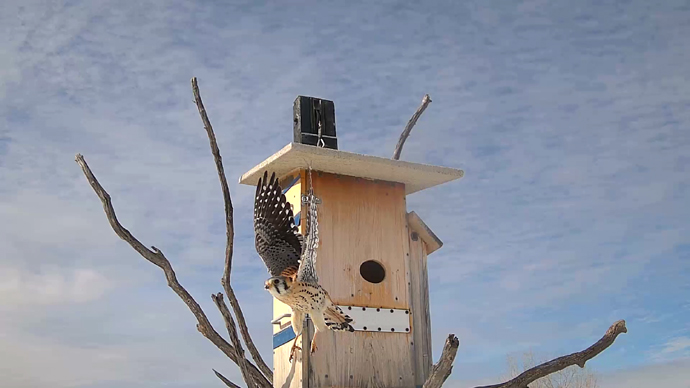 WEB ADJ 1 OUTS  MK  Snapshot JPG