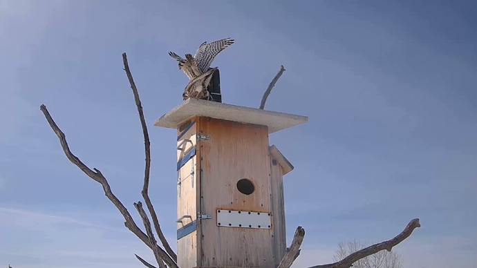 WEB ADJ 2 COP Snapshot JPG