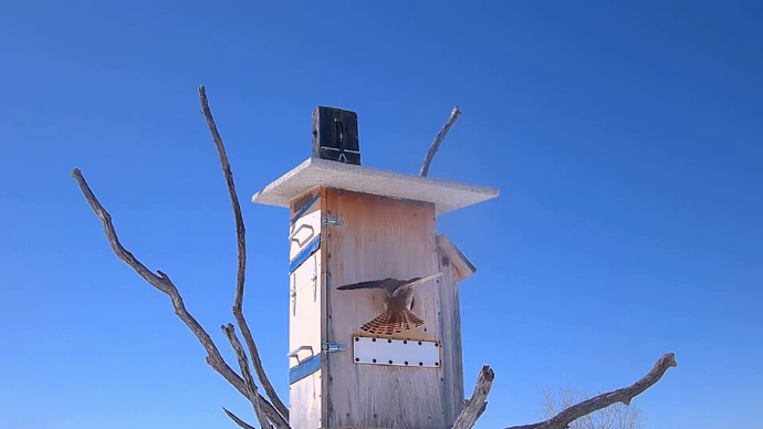 WEB ADJ 2 FK Snapshot