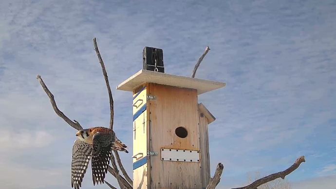 WEB ADJ 2 OUTS  MK  Snapshot JPG