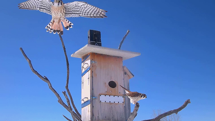 WEB ADJ 3 FK & MK Snapshot JPG