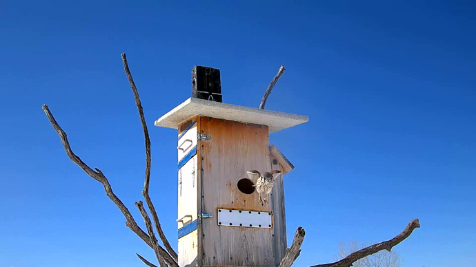 WEB ADJ 3 FK Snapshot JPG