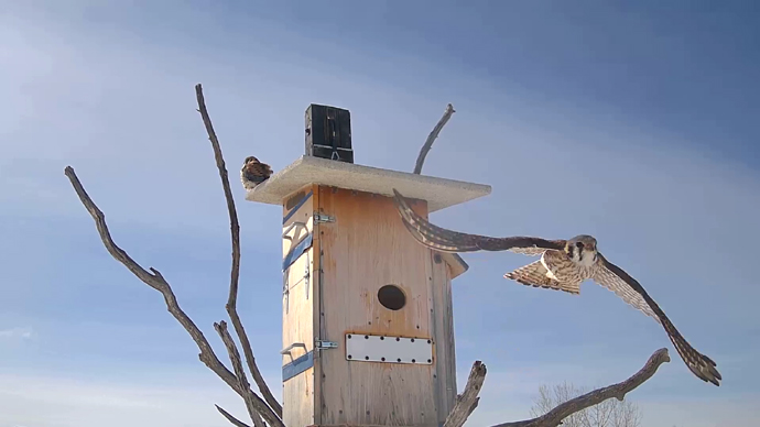 WEB ADJ 4 FK FLY Snapshot JPG