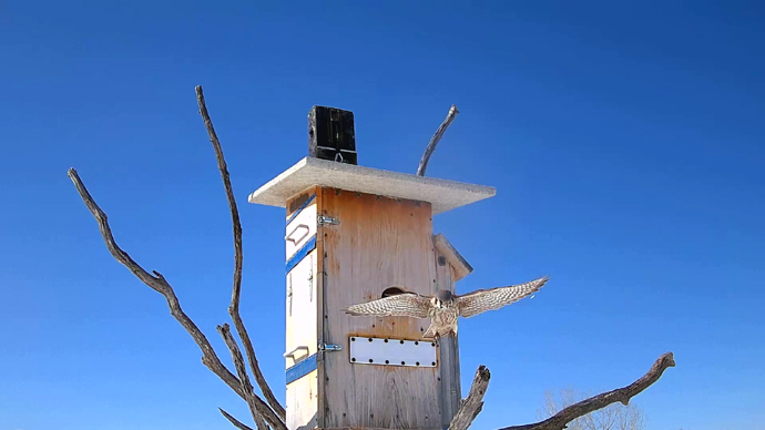 WEB ADJ 4 FK Snapshot JPG