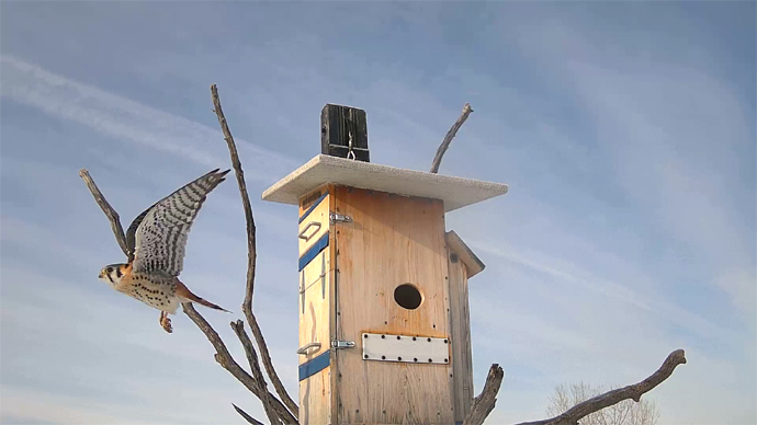 WEB ADJ 4 M K Snapshot JPG