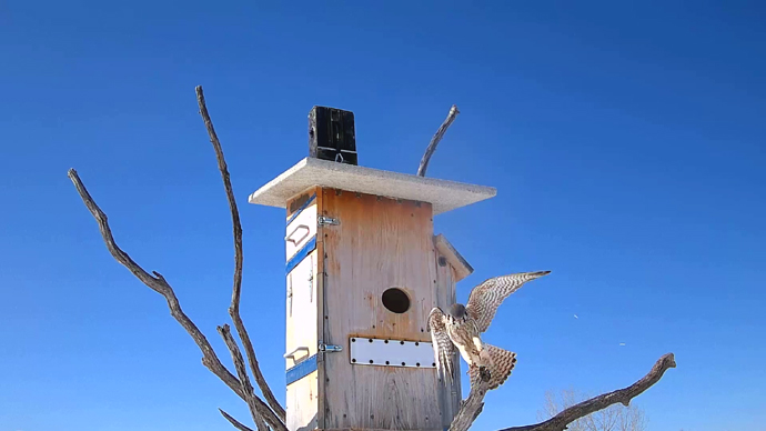 WEB ADJ 5 FK Snapshot JPG