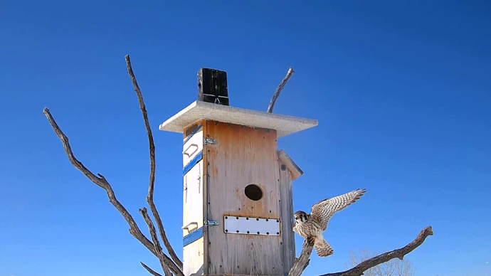 WEB ADJ 7 FK Snapshot JPG