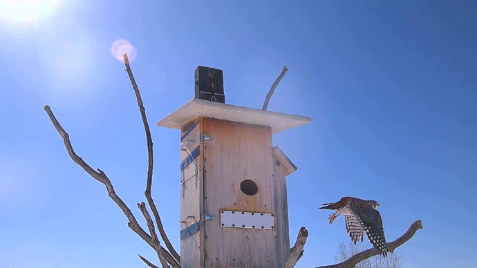 WEB ADJ 7 MK Snapshot