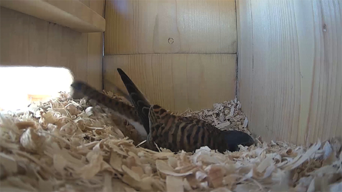 WEB FK N B Sequence 01.Still098 WEB FK N B Sequence 01.Still098