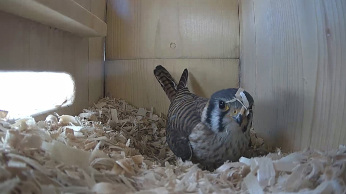 WEB FK Sequence 01.Still099 WEB FK Sequence 01.Still099