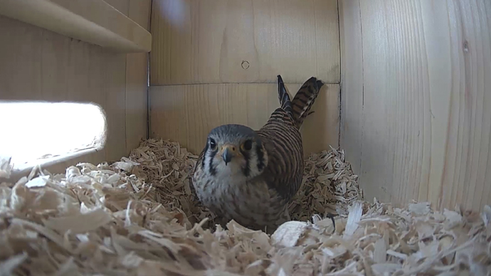 WEB FK Sequence 01.Still101 WEB FK Sequence 01.Still101