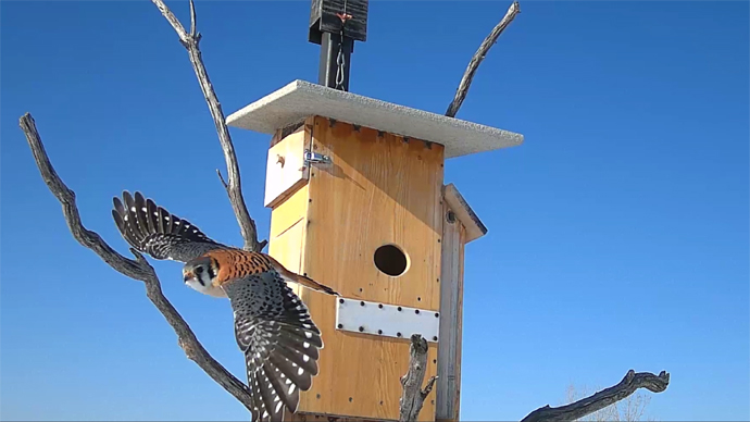 WEB MK Sequence 01.Still091 WEB MK Sequence 01.Still091