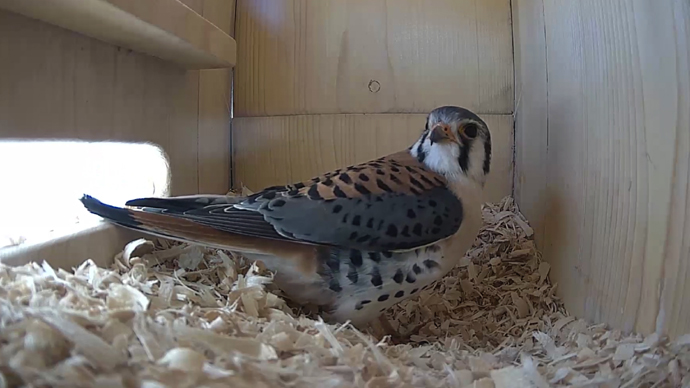 WEB MK Sequence 01.Still092 WEB MK Sequence 01.Still092