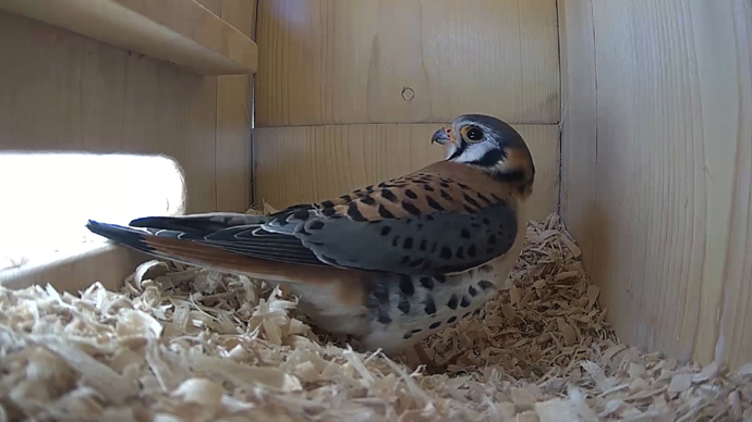 WEB MK Sequence 01.Still093 WEB MK Sequence 01.Still093