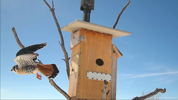 WEB MK Sequence 01.Still095 WEB MK Sequence 01.Still095