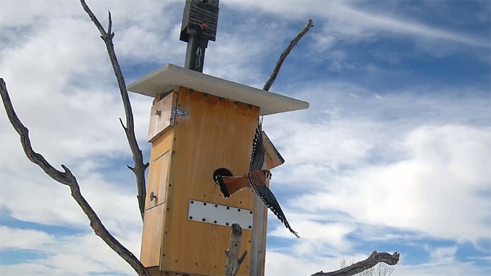 WEB MK Sequence 01.Still097 WEB MK Sequence 01.Still097