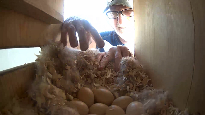 WEB SIDE MAY 7, 2025 11 WD EGGS JPG WEB SIDE MAY 7, 2025 11 WD EGGS JPG