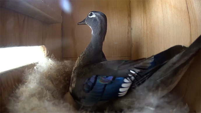 WEB ideo5 WD (2) WEB ideo5 WD (2)