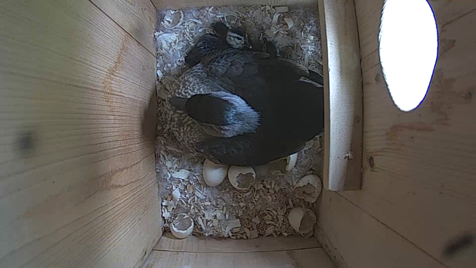 WEB video2 hjjjkuiuy WEB video2 hjjjkuiuy