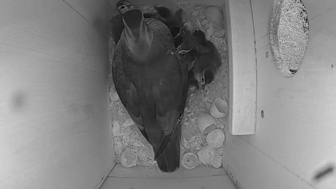 WEB video5 jklki WEB video5 jklki