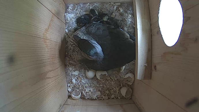 WEB video5 yutyuuiiu WEB video5 yutyuuiiu