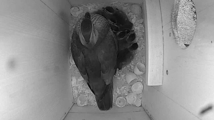 WEB video6 iuyuiyuiiu WEB video6 iuyuiyuiiu